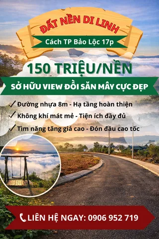 🌿 Chỉ 150 triệu – sở hữu ngay lô đất view đồi săn mây tuyệt đẹp tại Di Linh.