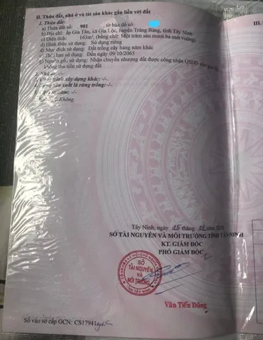 5x32 (163m2), Kp. Gia Tân, P. Gia Lộc, SHR, Giá 380 triệu.