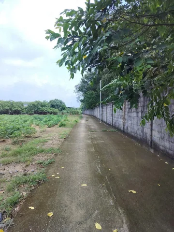 Bán đất 507m² ngang 14,1m đất nông nghiệp giá 1.45 tỷ tại Phường Tân Thành Phú Mỹ