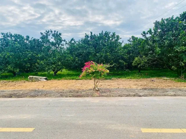 Bán đất 250m² có sẵn 100m² thổ cư ngang 5m giá 900 triệu tại Xã Trừ Văn Thố