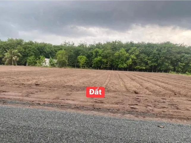 Bán đất 1000m² giá 400 triệu tại Xã Tân Lợi