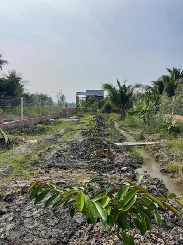 Bán nhà vườn đất lúa xã Hòa Khánh Tây dt 1000m2 giá 1,75 tỷ