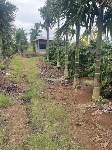 Bán đất 10775.5m² ngang 106m giá 4 tỷ tại Xã Ea Drông