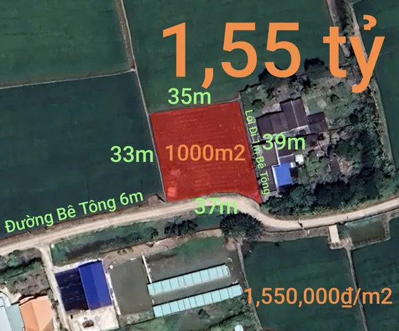 Bán đất 1000m² ngang 37m giá 1.55 tỷ tại Xã Nhựt Tảo