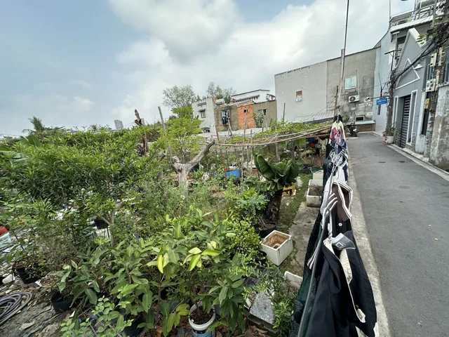 Bán đất trồng cây lâu năm ( quận 7)