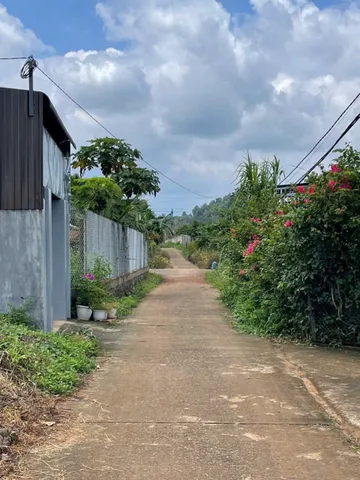Bán đất 192.5m² có sẵn 60m² thổ cư ngang 5m giá 930 triệu tại Phường Buôn Ma Thuột