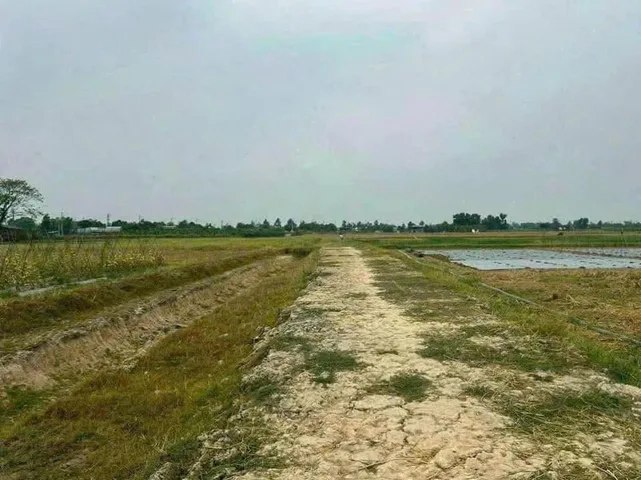 Bán đất 1073m² ngang 20x54m giá chỉ 2.45 tỷ tại Đường Xuân Thới Thượng 4 Xã Bà Điểm