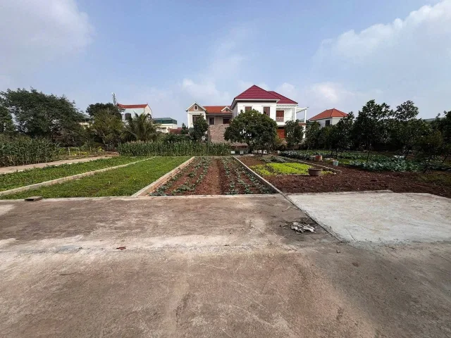 Bán đất 54,3m² full thổ cư ngang 4m giá 2.5 tỷ tại Xã Văn Giang