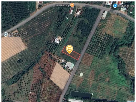 Bán đất 1228.2m² ngang 20m giá 4 tỷ tại Xã Xuân Thành