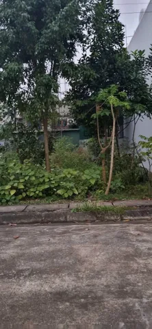 Bán đất khu đô thị Phúc Thành, Duy Tiên, Hà Nam ( Ninh Bình )