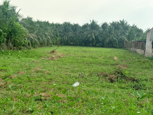 Bán 1800m2 đất mặt tiền HL173 gần vòng xoay Hữu Định,Châu Thành