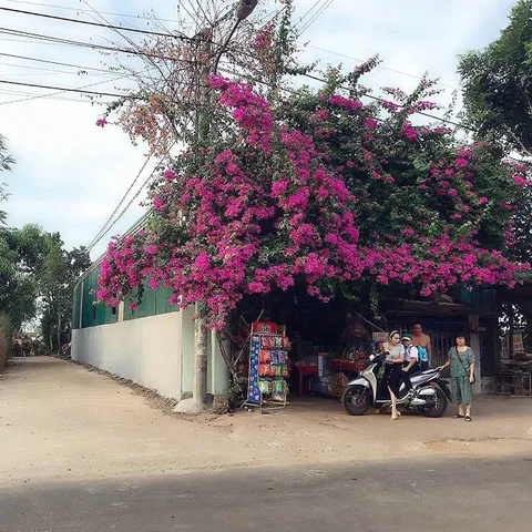 Bán đất 263.9m² có sẵn 60m² thổ cư ngang 10m giá 1.25 tỷ tại Xã Hòa Phú Thành phố Buôn Ma Thuột