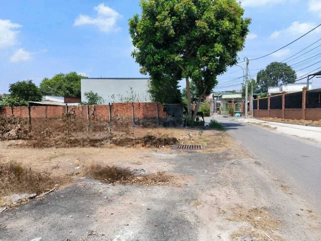 Bán đất 2 mặt tiền sát TL15 xã Tân Thạnh Đông Củ Chi TPHCM, DT: 800m2.