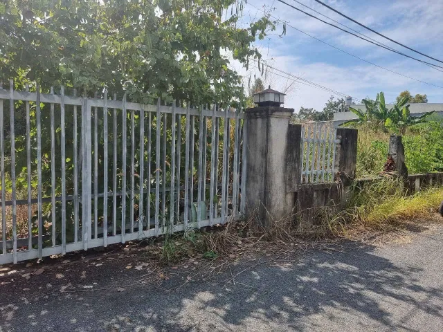 Đất thổ cư mặt tiền nhựa sát đường Tỉnh Lộ 8 trung tâm xã Tân Thạnh Tây Củ Chi TPHCM, DT: 5x25m.