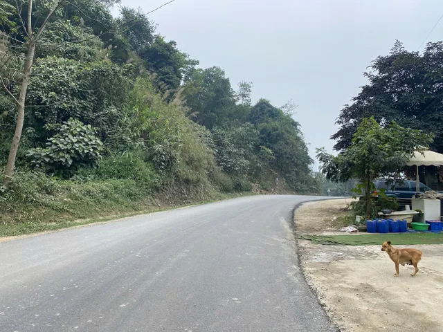 Bán hơn 300m mặt đường liên huyện Lương Sơn đi Kim Bôi Hoà Bình