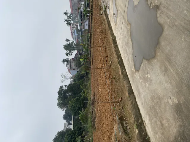 Bán đất 100m² full thổ cư ngang 5m giá 950 triệu tại Xã Hạ Hòa