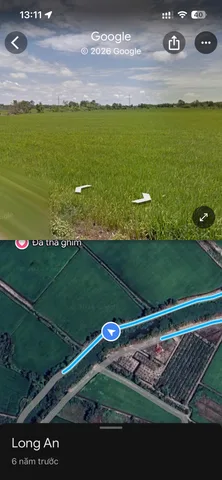 Đất lúa, ấp 1A xã Hựu Thạnh (cũ)