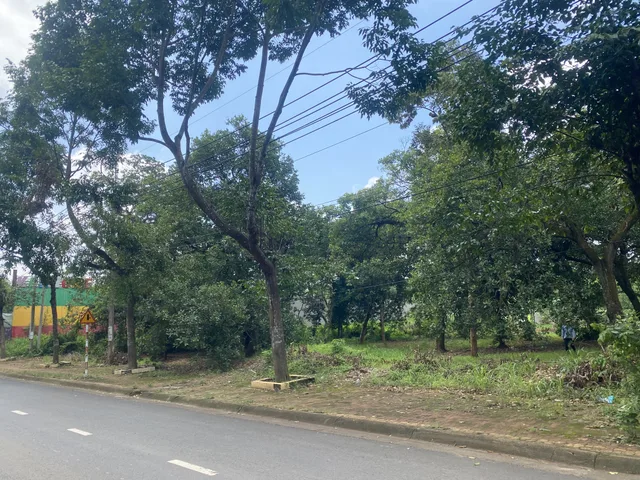 Bán đất 337.9m² có sẵn 90m² thổ cư ngang 10m giá 5 tỷ tại Đường Lê Duẩn Xã Xuân Lộc