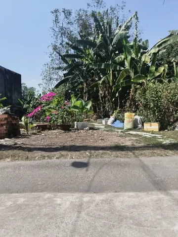 ☘️ ĐẤT SỔ HỒNG RIÊNG – TÂN HIỆP, HÓC MÔN