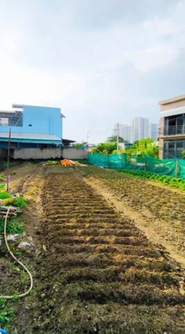 Bán đất 1120.6m² có sẵn 500m² thổ cư ngang 25m giá 78 tỷ tại Đường Quận 9 Phường Long Bình