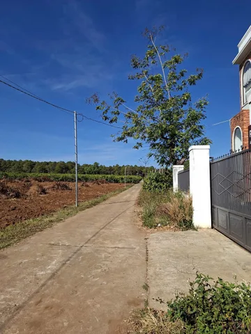 💥 Đất hẻm 123 Hàn Thuyên db