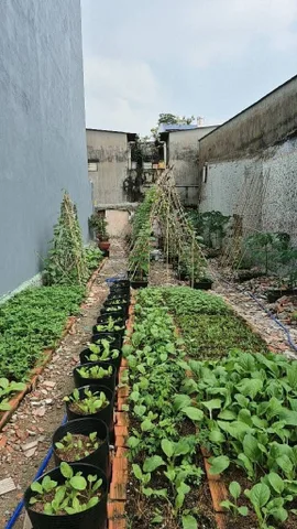 Lô đất ngay Lê Trọng Tấn , 103m2 hẻm xe tảu tránh nhau, khu vực xây cao tầng chỉ nhỉnh 7 tỷ