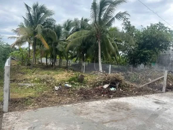 Bán nền biệt thự 450m2 có thổ cư Phường Phú Tân,Bến Tre