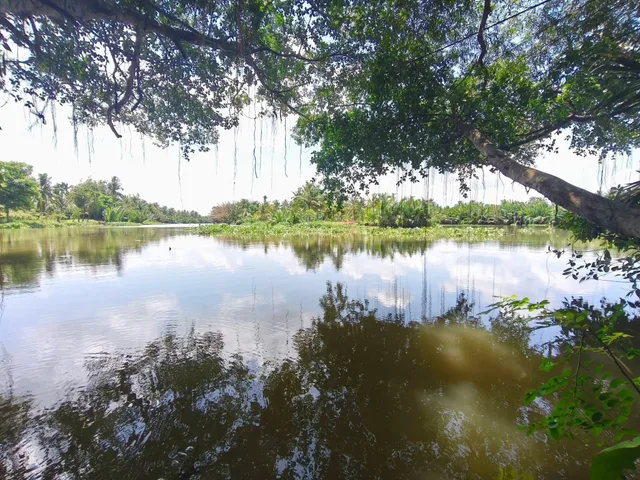 Bán hơn 4 công đất 2 mặt tiền nhánh nhựa nguyễn đáng và mặt tiền sông lớn