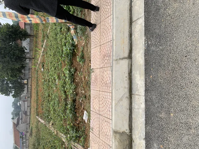 Cắt lỗ trước tết 100m² full thổ cư ngang 5m giá 4.3 tỷ tại Tân Xã trung tâm Hoà Lạc