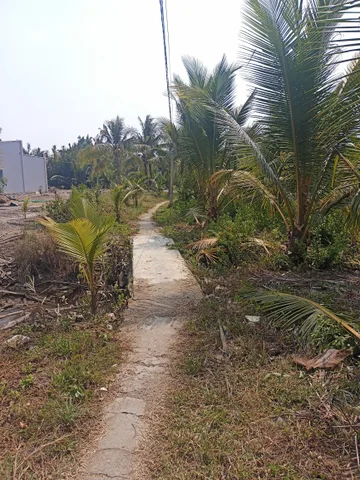 Bán đất vườn nghĩ dưỡng