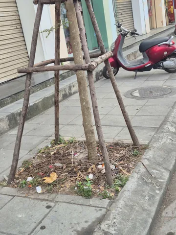 Bán nhà 2 Tầng , Mặt Phố Kinh Doanh mạnh Phạm Ngọc Thạch , Kim Liên (Thông Tin Thật)