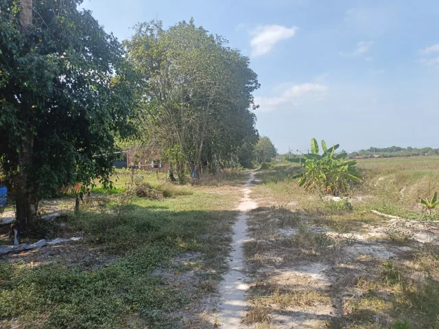 Ngộp ngộp, đất thổ cư mặt tiền Ôtô xã Phú Mỹ Hưng Củ Chi TPHCM, DT: 1212m2. Giá chỉ 2,5 tỷ.