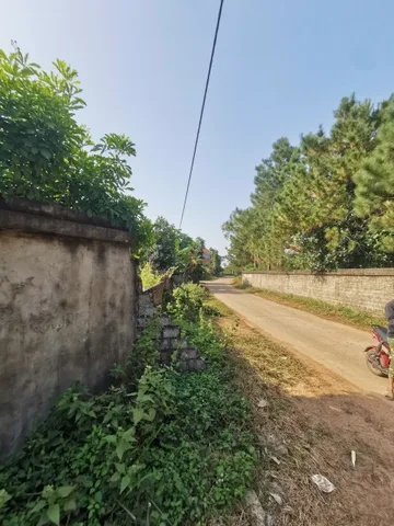 2260m2 view hồ đẹp đường ô tô tránh
Giá 7 triệu/m2