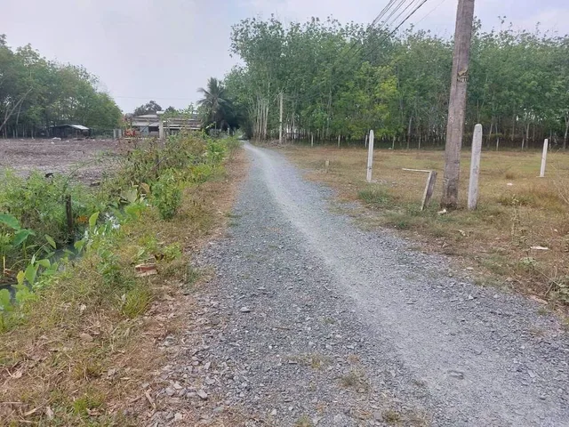 🔥BÁN GẤP ĐẤT CHÍNH CHỦ - GIÁ TỐT 🔥
📍Khu phố Lộc Khê,P. Gia Lộc, Trảng Bàng ,Tây Ninh