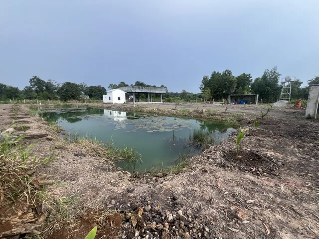 Bán đất 2303.2m² ngang 50m giá 5.3 tỷ tại Phường Long Nguyên