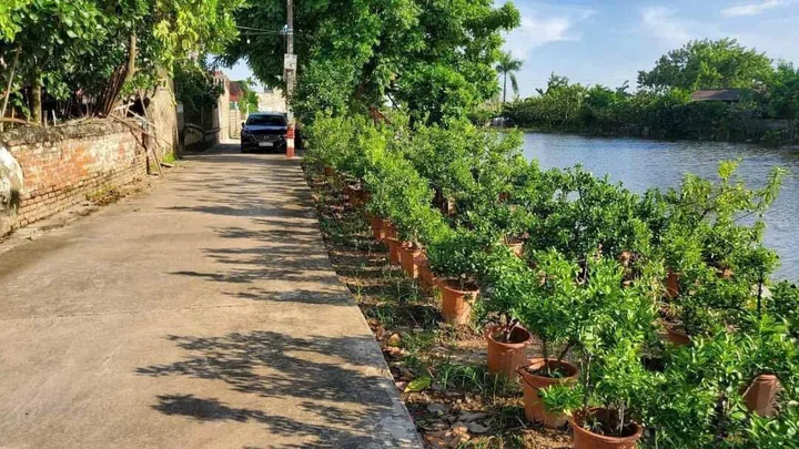 Bán đất 105m² full thổ cư ngang 4m giá 5.57 tỷ tại Xã Văn Giang