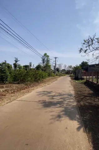 Đất full Hồng, xung quanh dân cư đông, mặt tiền thông Tránh Đông 200m. Bán 1tỷ050/sào
