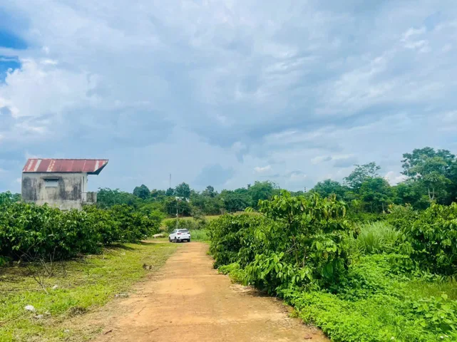 Bán đất 1529.7m² ngang 27m giá 1.95 tỷ tại Phường Hội Phú
