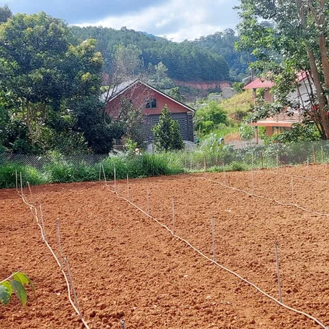 Bán lô đất View rừng thông🌲477m chân đèo Pren, Hiệp an, Đức Trọng, Lâm Đồng