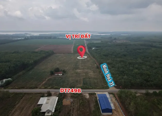 SỞ HỮU NGAY ĐẤT DẦU TIẾNG, BÌNH DƯƠNG (MINH THẠNH, TP.HCM)- CÁCH DT749B CHỈ 100M
