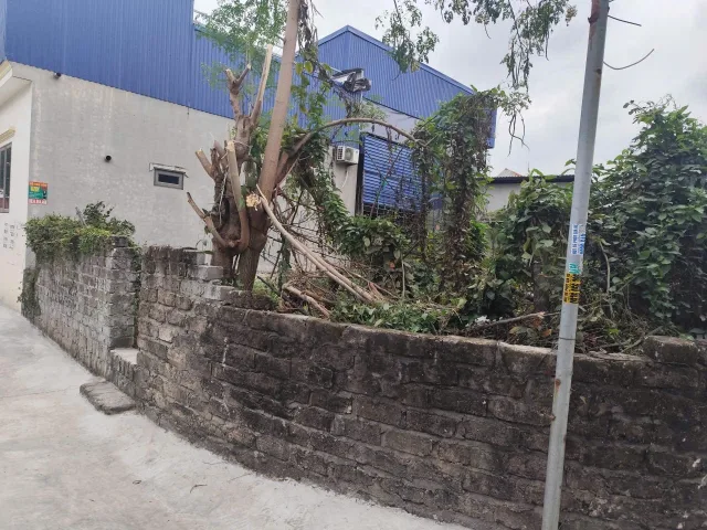 26/2/2026.Bán đất 68m² full thổ cư ngang 4,93m . đường thôn 7m. giá 2.29 tỷ tại Phường Bạch Đằng. Ngũ Lão. liên hệ 0362558882