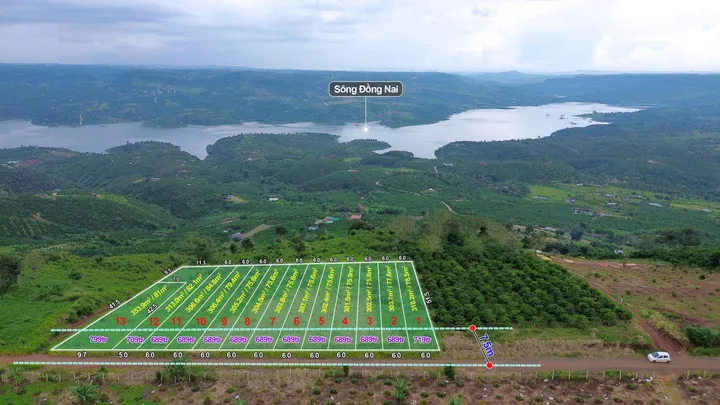 Bán đất 300m² có sẵn 80m² thổ cư ngang 6m giá 689 triệu tại Xã Đinh Trang Thượng