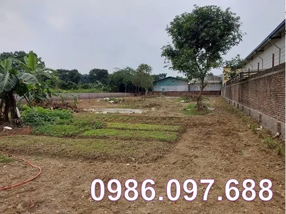 ⭐️Cho thuê 1.438m2 đất giá tốt đường rộng 6m tại xã Đông Xuân (Quốc Oai), Hà Nội, 0986.097.688