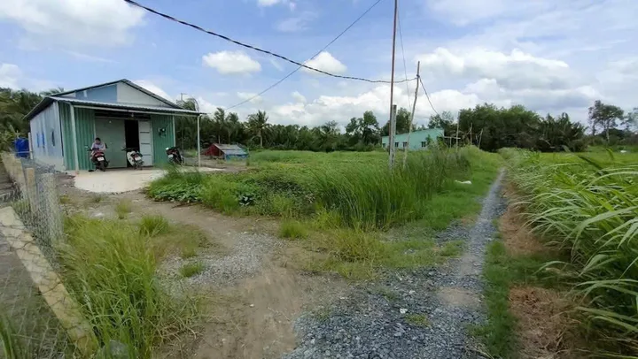 Bán 1000m2 đất lúa đường xe máy xã Nhựt Chánh , Bến Lức giá 1 tỷ