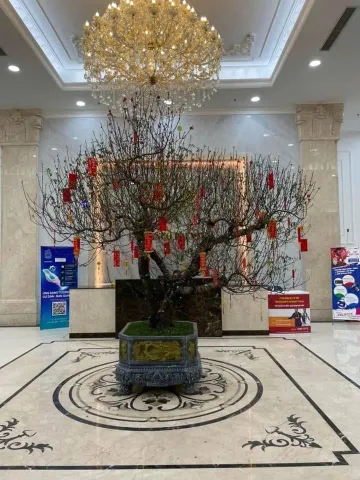 Cho Thuê Chung Cư Houseinco 80M² 2 Ngủ - Full Đồ - Giá Thuê 11tr / Nguyễn Xiển