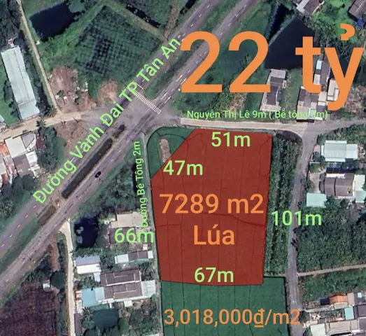 Bán đất 7289m² ngang 47m giá 22 tỷ tại Phường Tân An