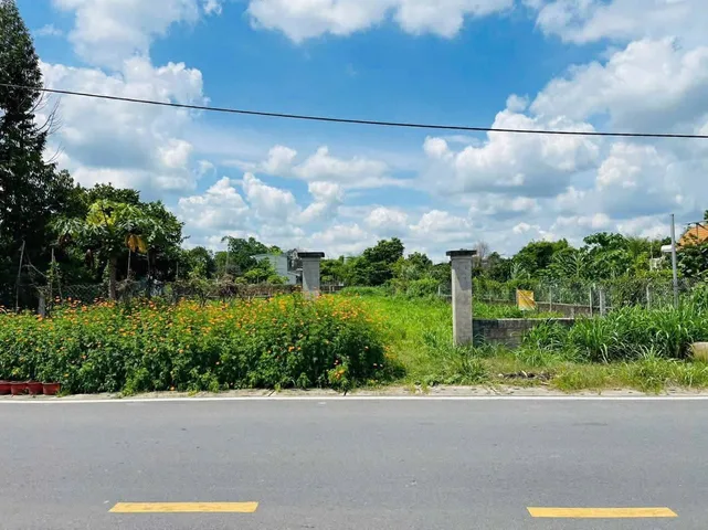 Bán đất mặt tiền Nguyễn Thị Nê xã Phú Hòa Đông Củ Chi TPHCM, DT: 20x48m.