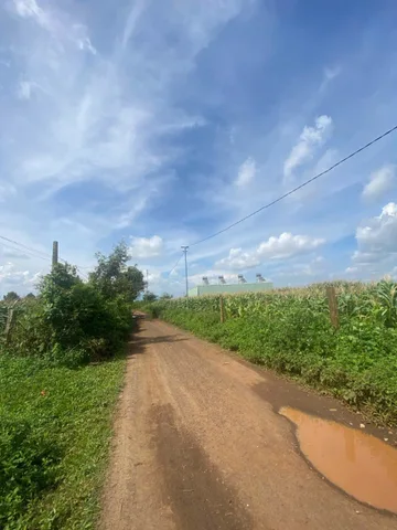 Đất ngộp