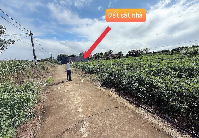 Mua 1 dc tới 2 lô 5m 3 mặt tiền 
cách uỷ ban Ea kao - 1 km mà siêu zẻ nhé