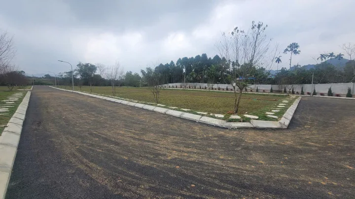 ĐẤT HỢP KIM – KIM BÔI GIÁ MỀM – ĐẦU TƯ ĐÓN SÓNG